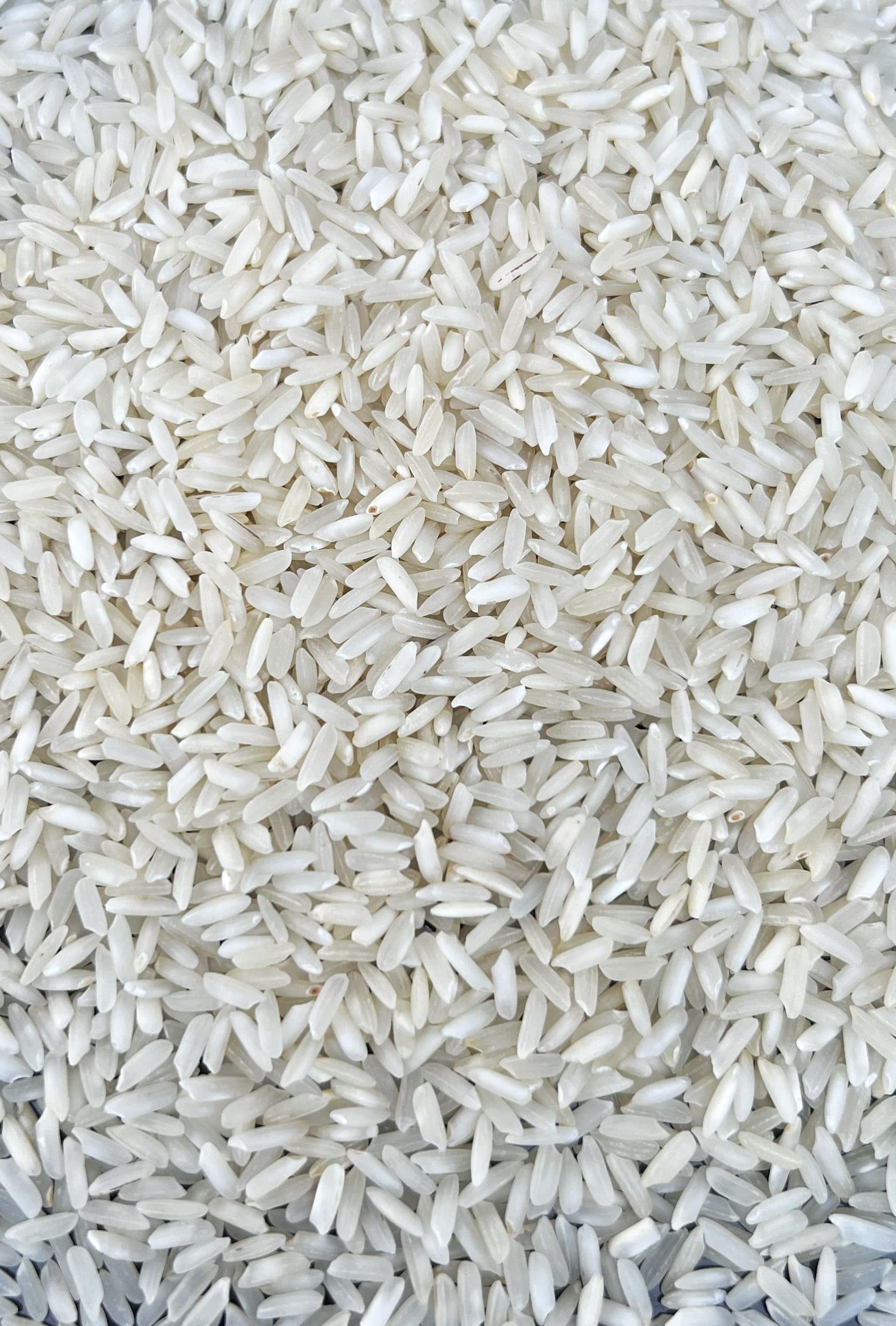 Parmal Steam Rice